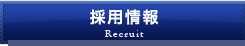 採用情報